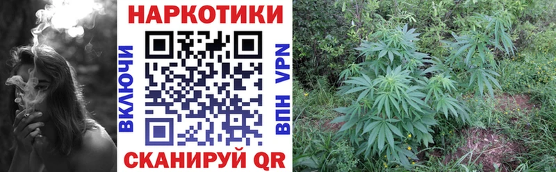 Наркошоп купить Лсд 25  Меф  Кокаин  Ардатов