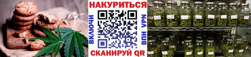 Купить где  Ардатов  Canna-Cookies конопля 