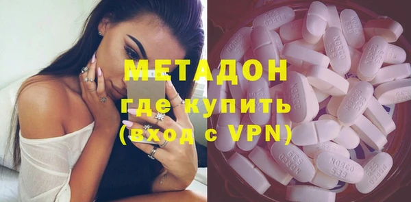 индика Алексин