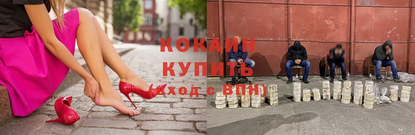 индика Алексин
