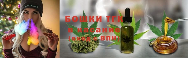 индика Алексин