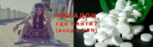 индика Алексин