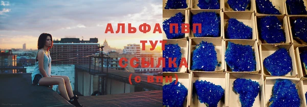 индика Алексин
