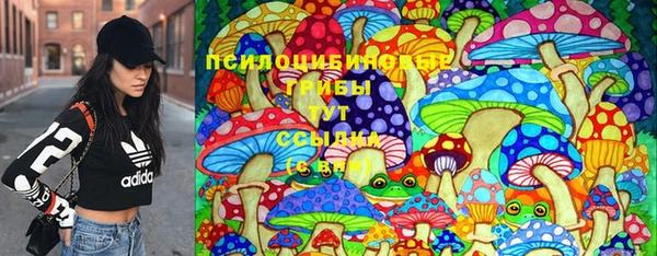 индика Алексин