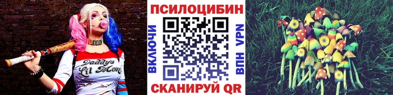 Купить закладки Ардатов Псилоцибиновые грибы ЛСД